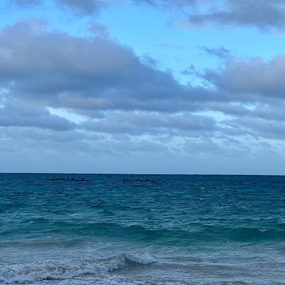 Meet your Posher, Robin - Picture 3 of 3